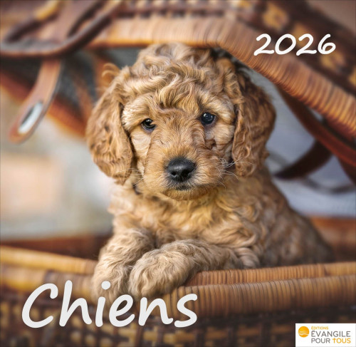Calendrier Chiens - Merveilles de la création