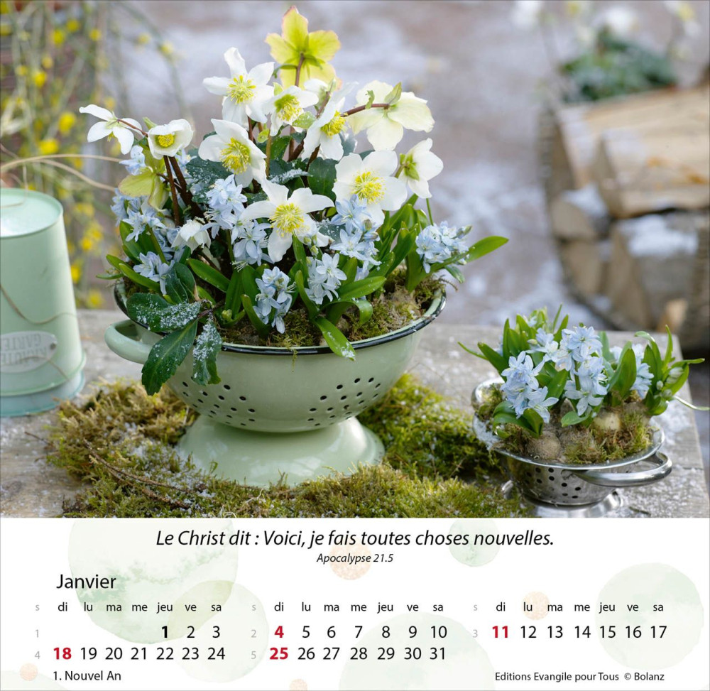 CALENDRIER JARDINS - MERVEILLES DE LA CREATION