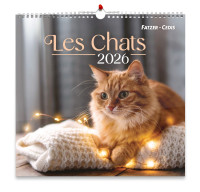 CALENDRIER NOS AMIS LES CHATS - GRAND FORMAT