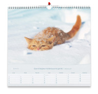 CALENDRIER NOS AMIS LES CHATS - GRAND FORMAT