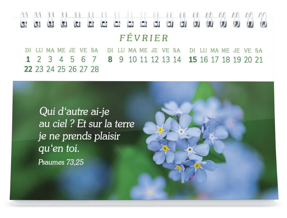 CALENDRIER PLAISIR D'OFFRIR - GROS CARACTERES