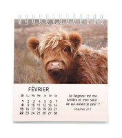 Calendrier Mes petits amis avec versets