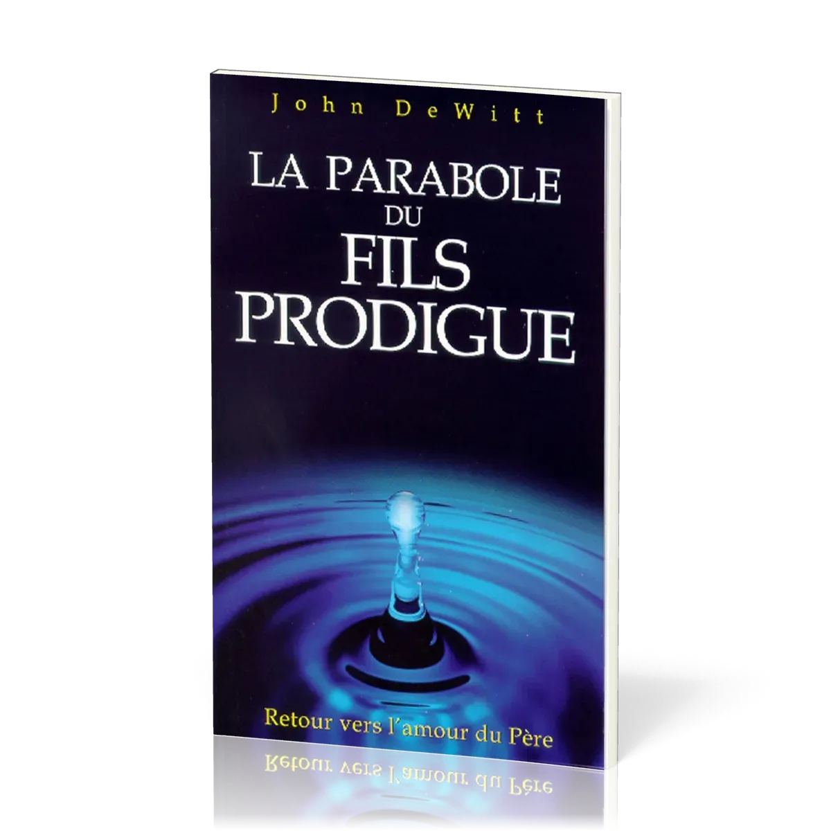 PARABOLE DU FILS PRODIGUE (LA)