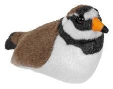 Peluche Pluvier annelé avec son chant