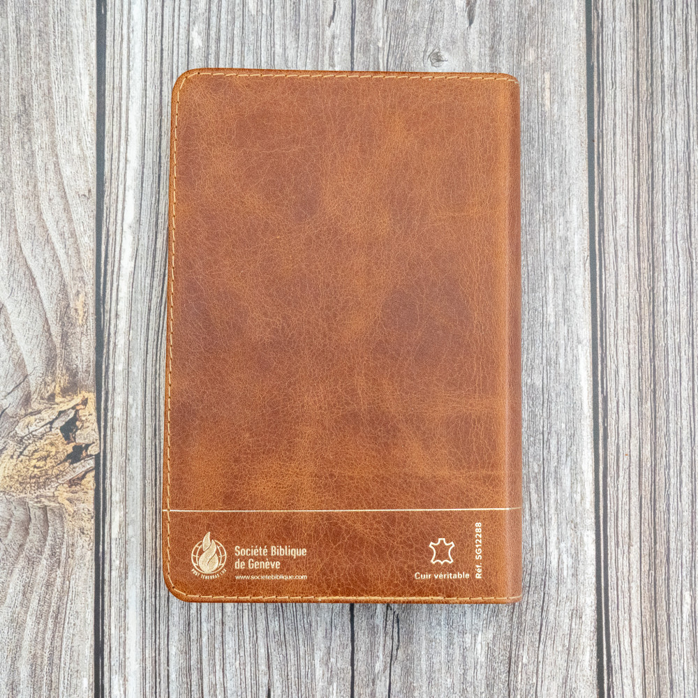 Bible Segond 21 compacte  (Premium style) - Couverture semi-rigide cuir brun, tranches or