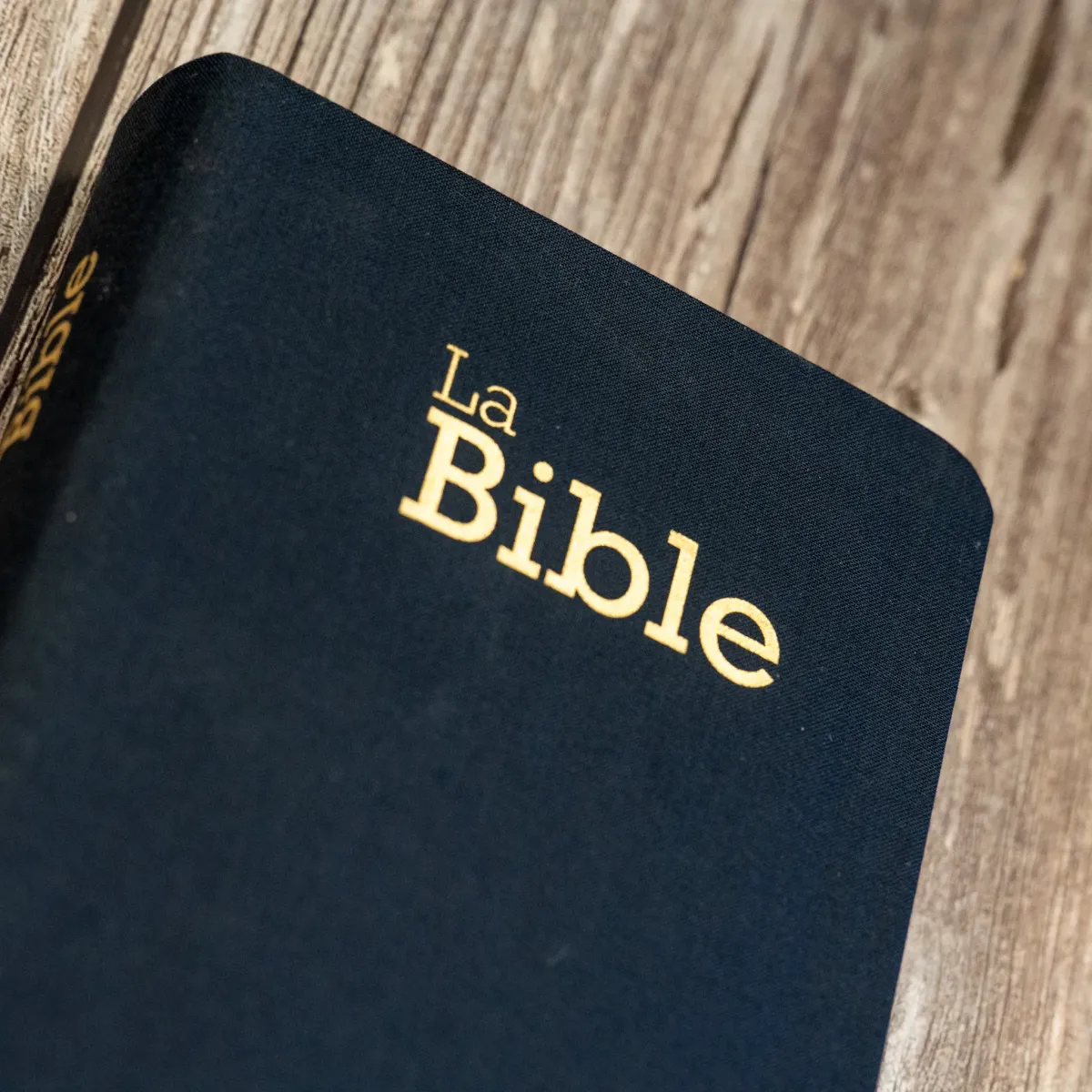 Bible Segond 21 compacte  (Premium style) - Couverture souple bleu marine