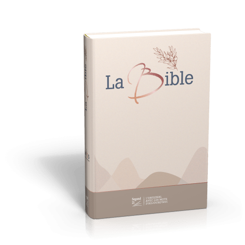Bible Segond 21 gros caractères rigide toilée matelassée Soeur-Co