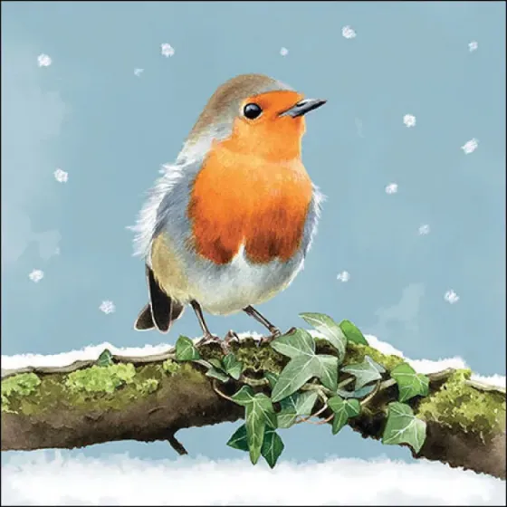 Serviette grande Rouge-gorge sur une branche (Robin on branch)