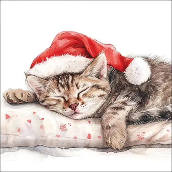 Serviette grande chat qui dort avec bonnet rouge