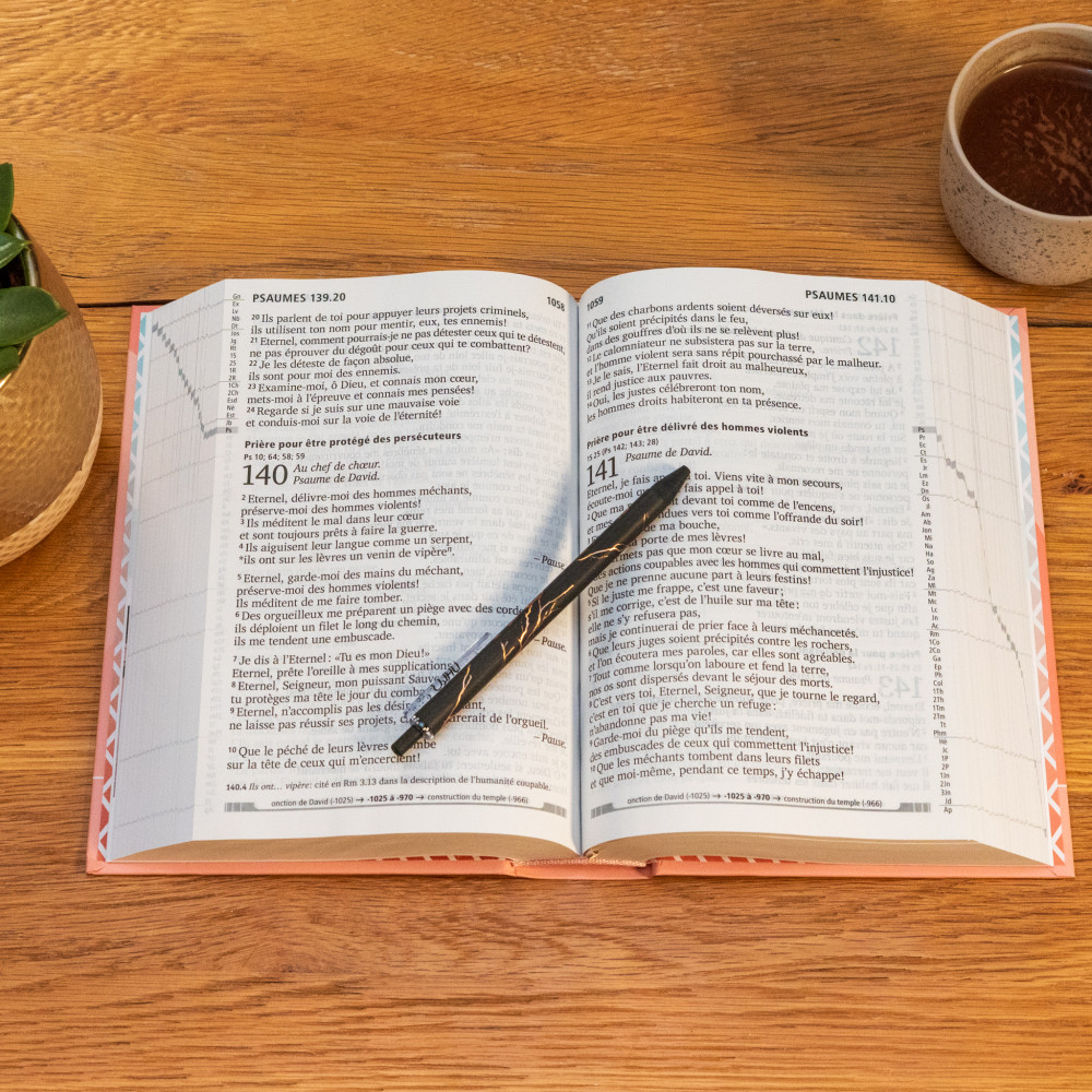 Bible Segond 21, gros caractères - couverture rigide et illustrée - rose