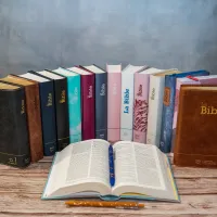 Bible Segond 21 compacte  (Premium style) - Couverture semi-rigide cuir brun, tranches or