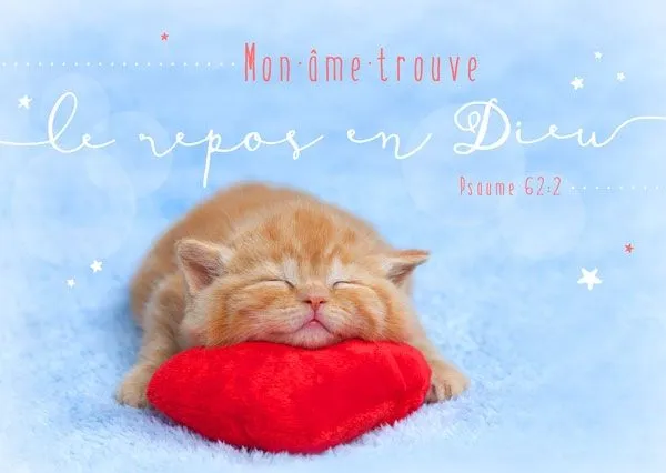 Carte postale - Mon âme trouve du repos en Dieu. Ps62:7