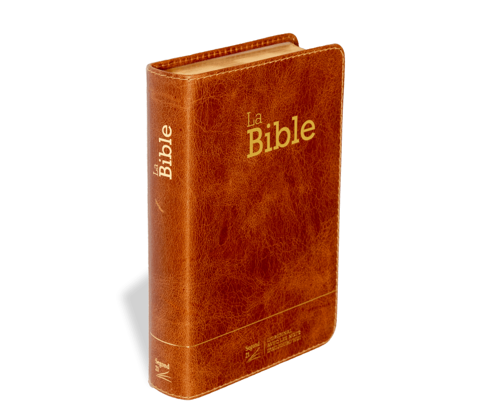 Bible Segond 21 compacte  (Premium style) - Couverture semi-rigide cuir brun, tranches or