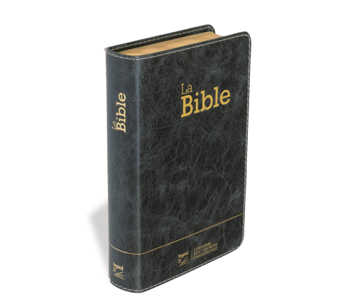 Bible Segond 21 compacte  (Premium style) - Couverture semi-rigide cuir anthracite, tranches or