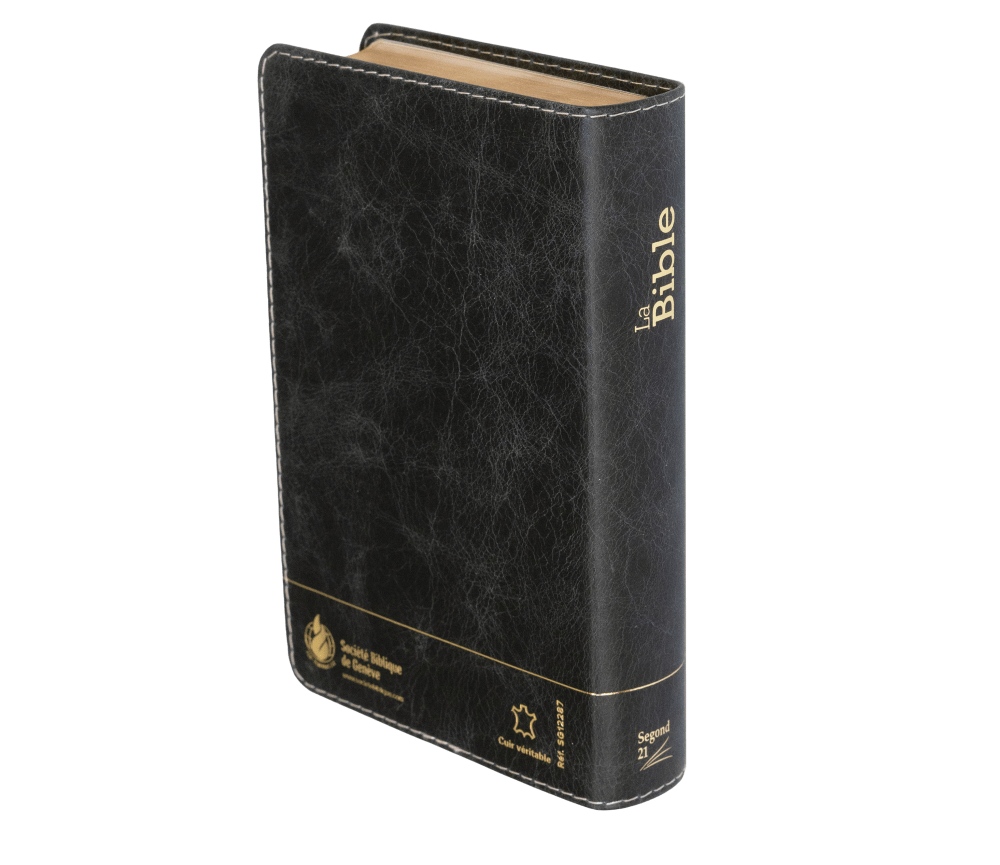 Bible Segond 21 compacte  (Premium style) - Couverture semi-rigide cuir anthracite, tranches or