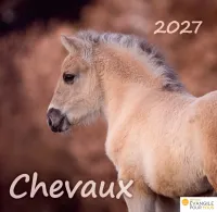 CALENDRIER CHEVAUX - MERVEILLES DE LA CREATION