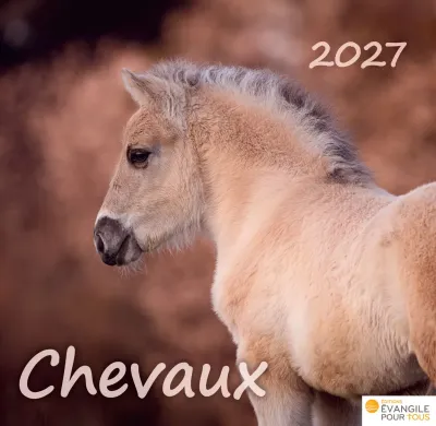 CALENDRIER CHEVAUX - MERVEILLES DE LA CREATION