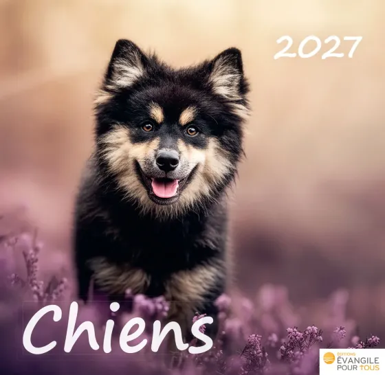 Calendrier Chiens - Merveilles de la création
