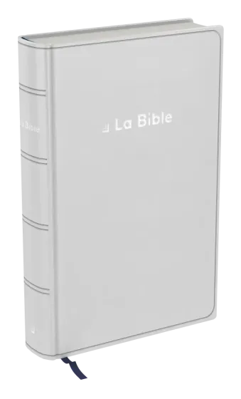 Bible Darby révisée format compact, souple gris, tranche argent
