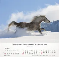 CALENDRIER CHEVAUX - MERVEILLES DE LA CREATION