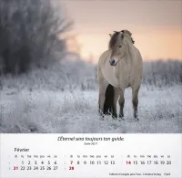 CALENDRIER CHEVAUX - MERVEILLES DE LA CREATION