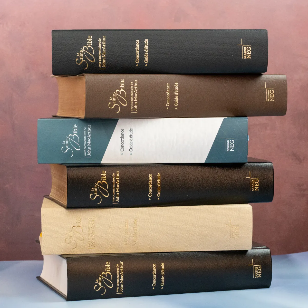 Bible NEG MacArthur semi-rigide, toile beige