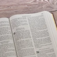 BIBLE NEG GROS CARACTERES COUVERTURE RIGIDE BORDEAUX