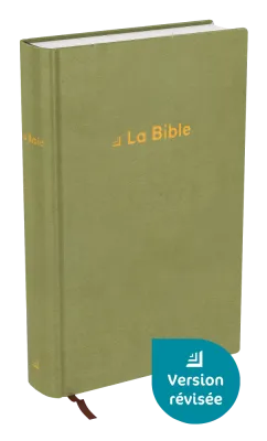Bible rigide velour vert olive