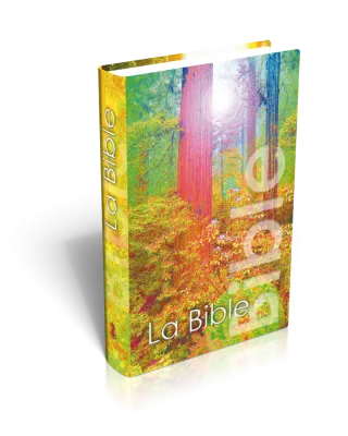 BIBLE NEG MINIATURE RIGIDE COUV. ILLUSTREE FORET