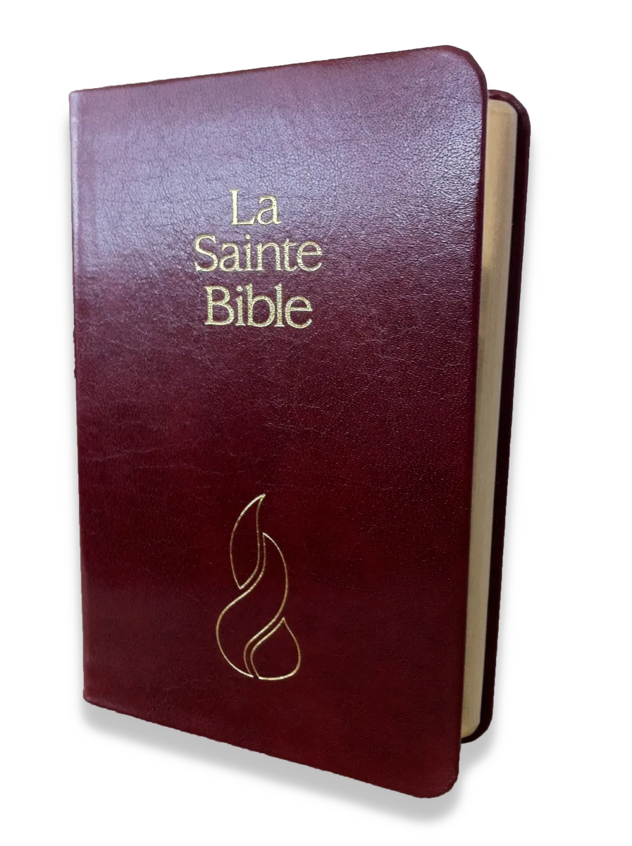 BIBLE NEG MINIATURE FIBROCUIR TR. OR GRENAT