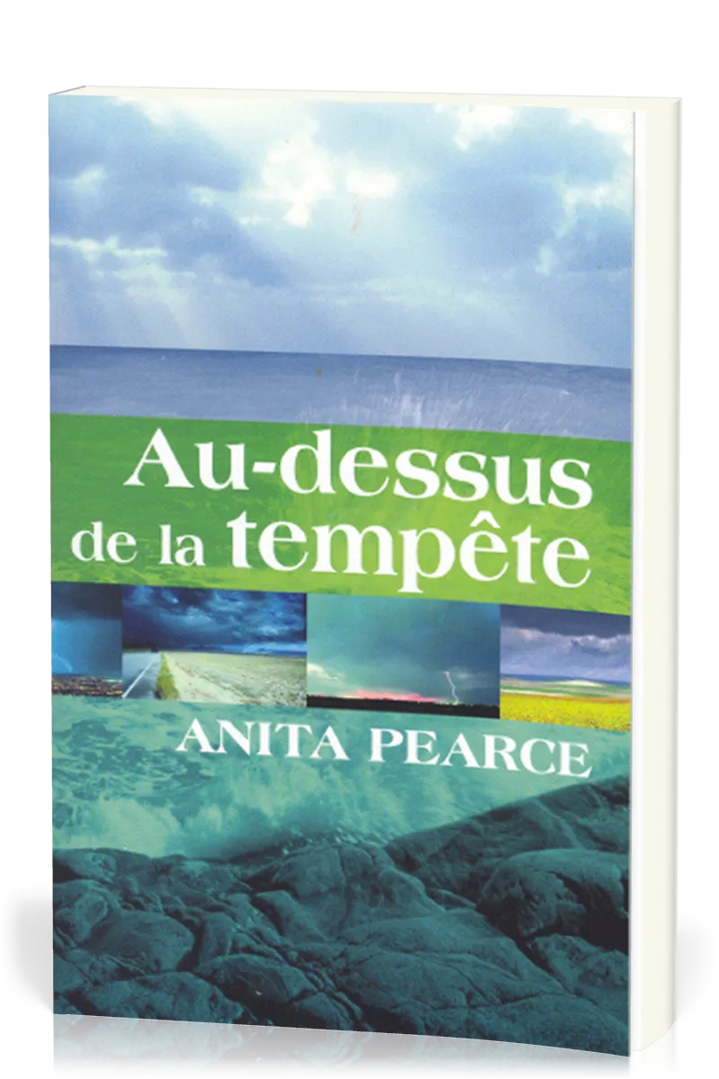 Au-dessus de la tempète