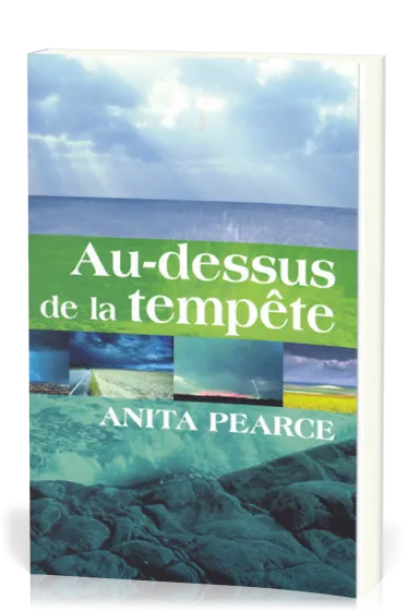 Au-dessus de la tempète