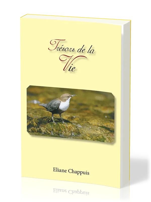 TRESORS DE LA VIE