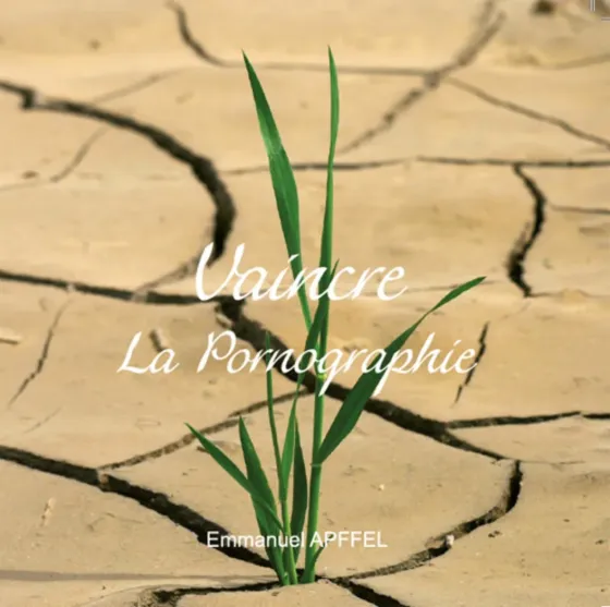 VAINCRE LA PORNOGRAPHIE