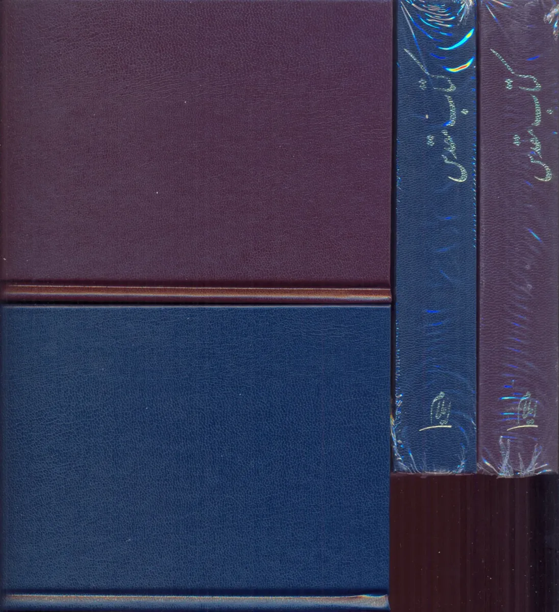 Bible en Persan/Farsi
