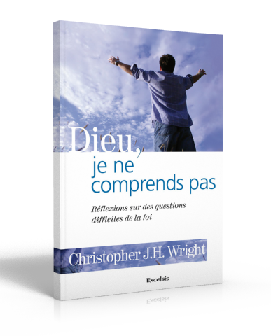 DIEU, JE NE COMPRENDS PAS - REFLEXIONS SUR DES QUESTIONS DIFFICILES DE LA FOI