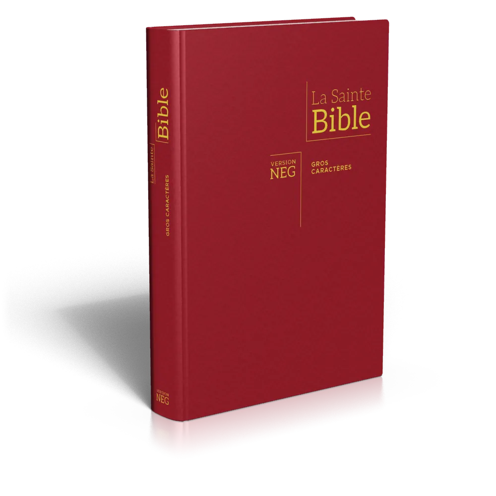 BIBLE NEG GROS CARACTERES COUVERTURE RIGIDE BORDEAUX