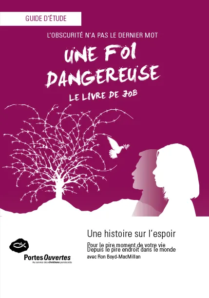 UNE FOI DANGEREUSE - LE LIVRE DE JOB