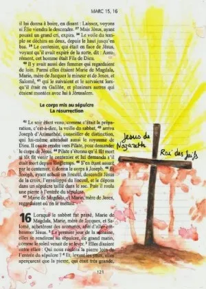 CARNETS DE LA BIBLE - EVANGILES SELON MATTHIEU, MARC, LUC ET JEAN, ACTES DES APOTRESDIV