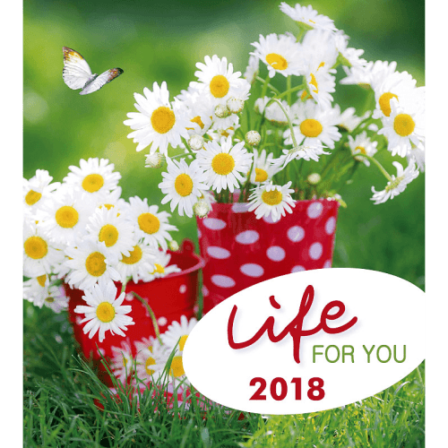 Mug La vie est un équilibre...