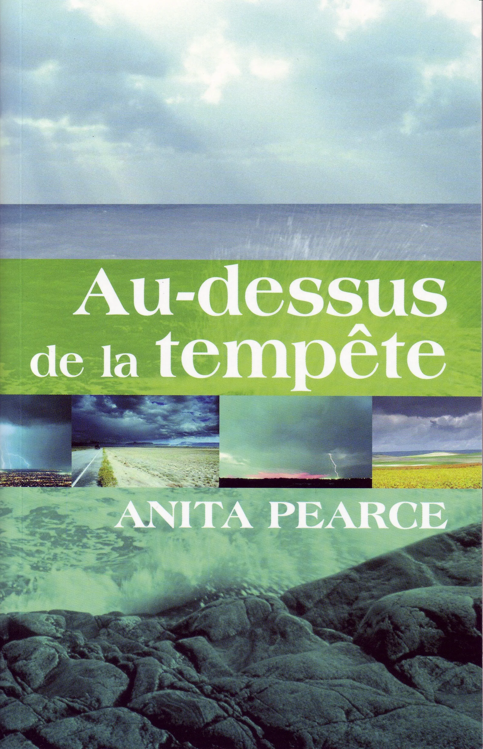 Au-dessus de la tempète