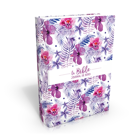 Bible Segond 21 Journal de bord couverture toilée illustrée