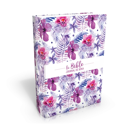 Bible Segond 21 Journal de bord couverture toilée illustrée
