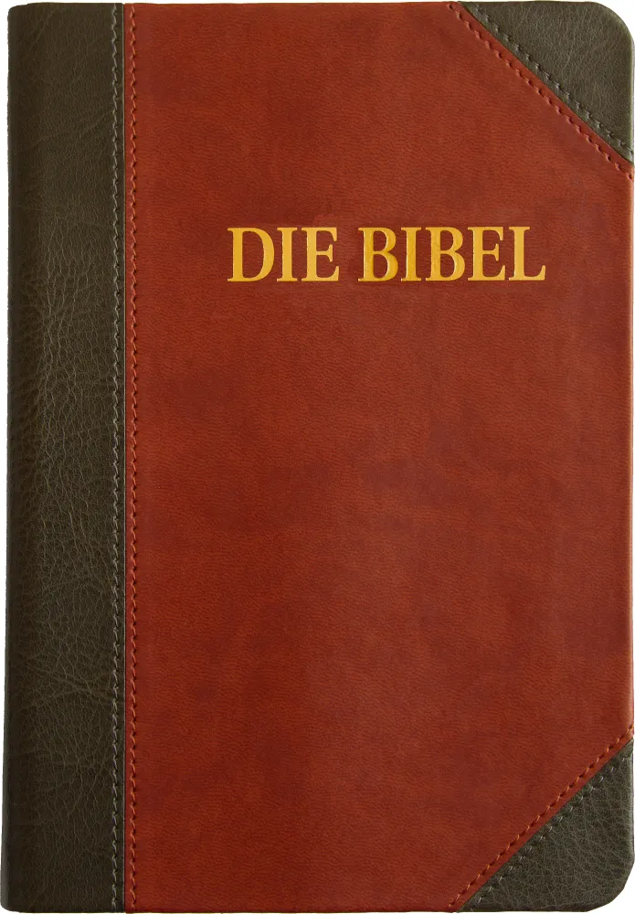 Allemand - Bible Schlachter 2000 - étude souple grenat/gris