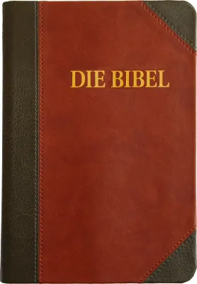 Allemand - Bible Schlachter 2000 - étude souple grenat/gris