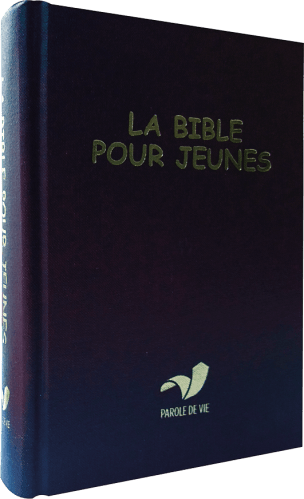 Bible pour jeunes (La) - Reliée bleu