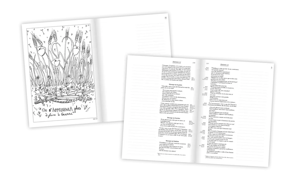 Bible Segond 21 Journal de bord couverture toilée illustrée