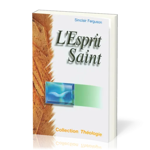 ESPRIT SAINT (L')