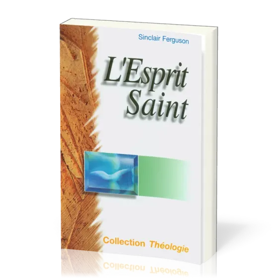 ESPRIT SAINT (L')