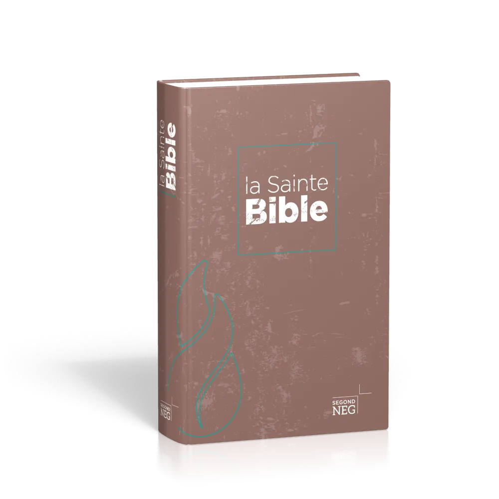 Bible NEG compact rigide illustrée